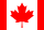 country flag icon